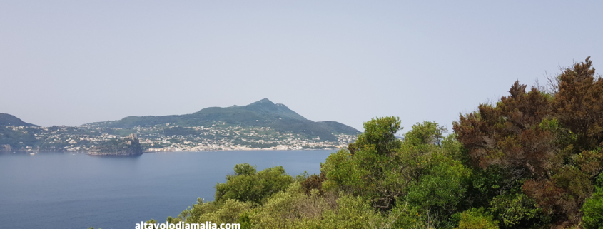 Ischia da Procida