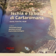 Il libro Aenaria Cartaromana