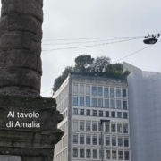 Pino sul tetto Milano