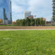 Milano grattacieli verde