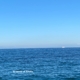 Mare Ischia