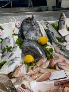 Pesce Castagna