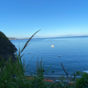 Spiaggia di Cartaromana