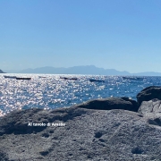 Mare