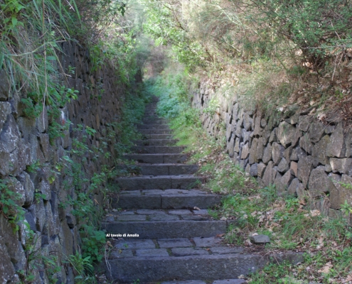 Sentiero della lucertola