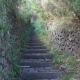 Sentiero della lucertola