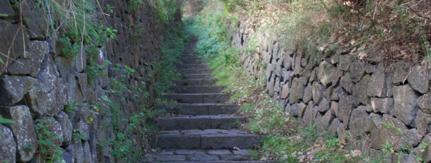Sentiero della lucertola